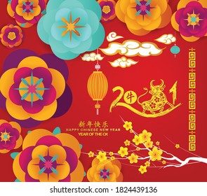Chinese new year Ox 2021. Blossom and lanterns background (Chinese translation Happy chinese new year 2021, year of ox)