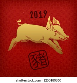 Chinese new year of pig 2019 - real golden piglet illustration.