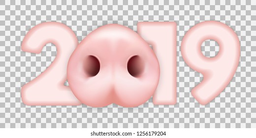 Chinese New Year. Pork muzzle 2019 year. Christmas illustration with pig face for cards, banners. On a transparent background isolated vector illustration.