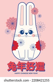 chinese new year of the rabbit greetings design template with chinese words that mean 'good luck in the year of the rabbit'