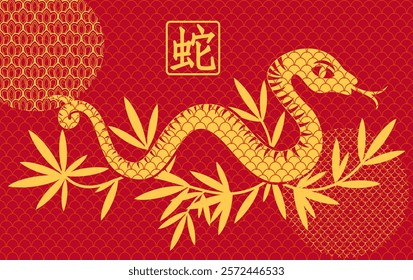 Chinese New Year year of the Snake. Traditional Chinese vector design with Snake for greeting card, cover, banner, poster.  vector illustration