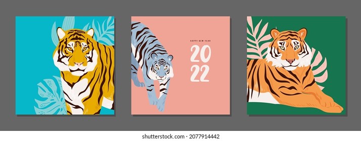 Chinese New Year. Tigers set of modern greeting card. Symbol of 2022