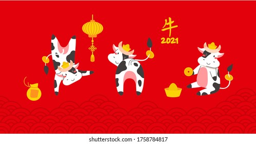 Chinese new year of white ox 2021 zodiac - vector set bulls or cows, flat cartoon animals for holiday cards, posters and home decorations, cute characters with golden coins for luck - isolated on red