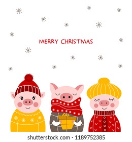 Chinese New Year.Three cute pigs. Cartoon animals. The year of the pig. Vector illustration. 