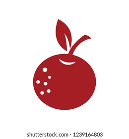 Chinese orange fruit icon