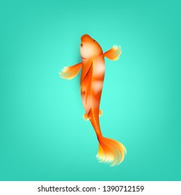 Chinese Orange Koi Fish With White Spots Vector. Koi One Of Decorative Beautiful Asian Carp Species Have Prominent Barbels On Lip That Are Not Visible In Goldfish. Top View Illustration