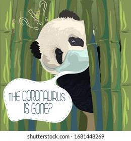 Chinese panda in medical mask among bamboo asks if the coronavirus has gone. Quarantine panda