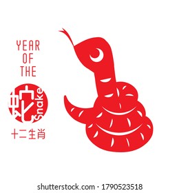 Chinese paper cut zodiac with Chinese character "snake". Vector illustration