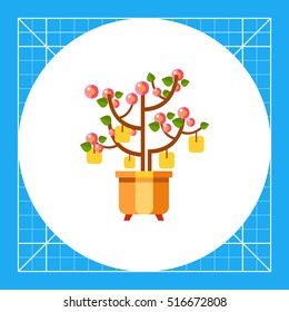 Chinese Peach Tree Icon