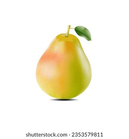 vectorial de fruta de pera china imagen de peras chinas en fondo blanco