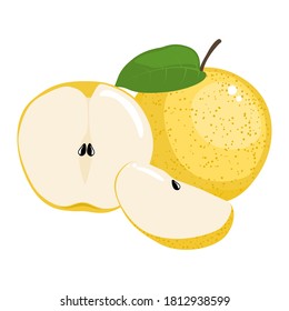 Chinese pear isolated on white background. Vector illustration. Cut orange Chinese pear