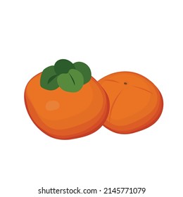 Chinese Persimmon fruit vector on white background