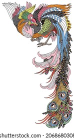 Chinese phoenix or Feng Huang Fenghuang mythological bird. One of celestial feng shui animals. Graphic style vector illustration