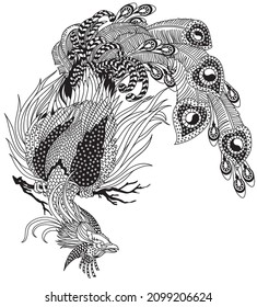 Chinese phoenix or Feng Huang magical bird. One of the celestial feng shui animals. Black and white outline vector illustration