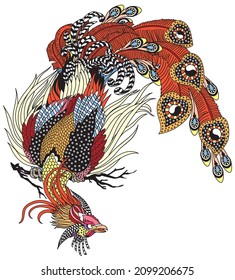 Chinese phoenix or Feng Huang magical bird. One of the celestial feng shui animals. Isolated vector illustration