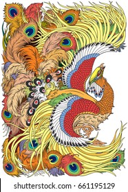 Chinese phoenix or feng huang mythological bird . Vector illustration