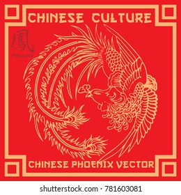 Chinese Phoenix Vector Phoenix Outline Stock Vector (Royalty Free ...