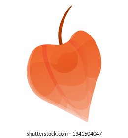Chinese physalis icon. Cartoon of chinese physalis vector icon for web design isolated on white background