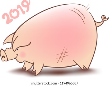 Chinese Pig Year