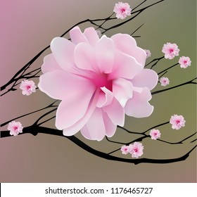 chinese plum blossom