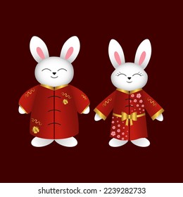 Chinese rabbits, bunnies, hare in red kimono. Vector illustration.Cchinese new year design element for cover, print, postcards, web, invitations, posters and announcements of the party