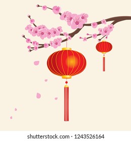 Chinese red lanterns hanging from sakura cherry tree branch