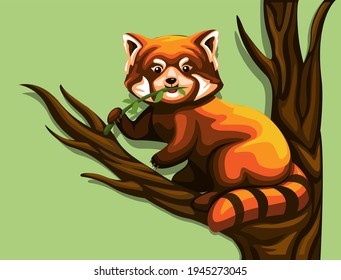 Chinese red panda eating leaves in tree. exotic animal illustration cartoon vector