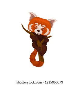 Chinese red panda hanging on a tree branch, cute fluffy wild animal vector Illustration on a white background