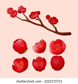 Chinese red plum elements including a branch of blossom and six different angles of flower buds in 3d illustration