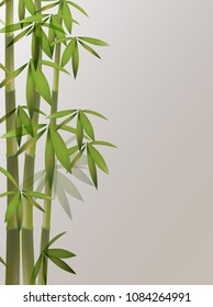 Chinese Retro Style Bamboo Background 