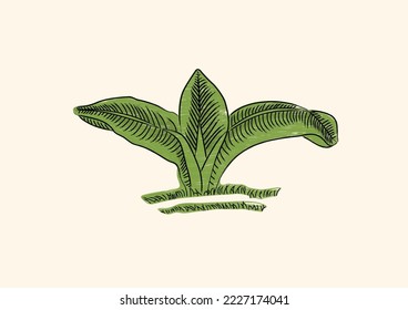 Chinese Rooster Bowl Plantain Leaves Graphic