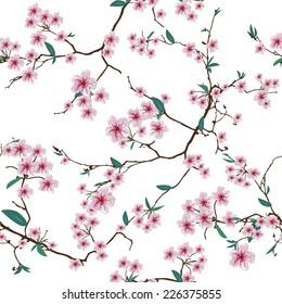  Chinese sakura white seamless vector pattern 
