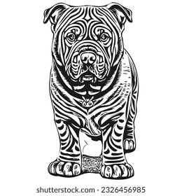 Chinese Shar Pei dog black drawing vector, isolated face painting sketch line illustration realistic breed pet