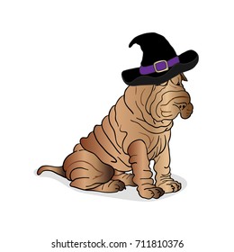 Chinese Shar Pei Dog with black Wizard Hat isolated on white. Halloween Party Symbol.