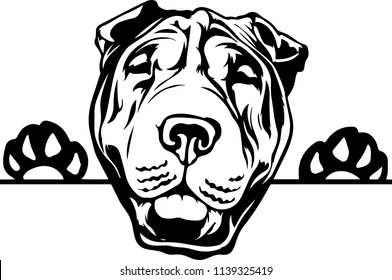 Chinese Shar Pei Lap dog breed face head isolated animal domestic pet canine puppy purebred pedigree hound portrait peeking paws smiling smile happy art artwork illustration design set collection cute