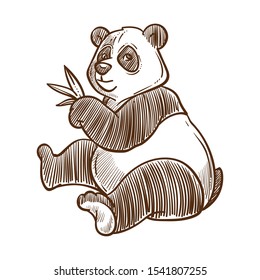 Chinese symbol, panda bear with bamboo leaves, isolated animal sketch vector. Wildlife, travel to China, wild species black and white fur, rare mammal. Zoology, tourism and traveling, Oriental country