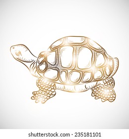 Chinese symbol of wealth tortoise in golden color on gradient background.