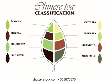 Chinese tea classification. Tea info graphics. Types of tea info graphics. 