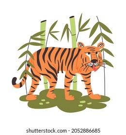 Chinese tiger among bamboo. Wild predator king of beasts. Animal vector illustration flat cartoon style