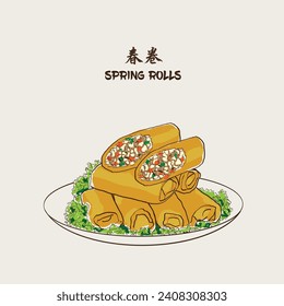 Chinese Traditional Food Spring Rolls. Hand drawn vector EPS 10