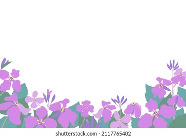 146 Chinese violet cress Images, Stock Photos & Vectors | Shutterstock