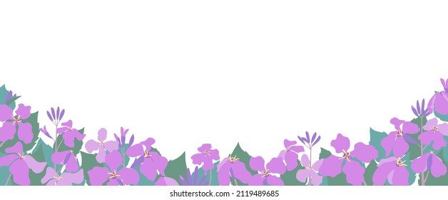 Chinese violet cress flower field landscape illustration banner design. Vector illustration.