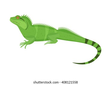 Chinese water dragon vector illustration