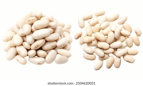 chinese white bean sprouts isolated white background
