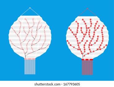 Chinese white lantern, sakura
