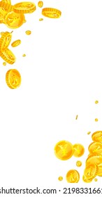 Chinese yuan coins falling. Scattered gold CNY coins. China money. Great business success concept. Vector illustration.