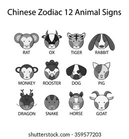 Chinese Zodiac 12 Animal Signs Vector Illustration