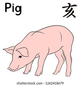 Chinese Zodiac Sign Pig, Fixed Element Water, symbol of New Year on the Eastern calendar, hand drawn vector isolated on the white background