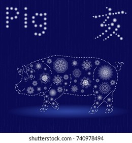 Chinese Zodiac Sign Pig, Fixed Element Water, symbol of New Year on the Eastern calendar, hand drawn vector illustration with snowflakes and light spheres on the seamless background, winter motif