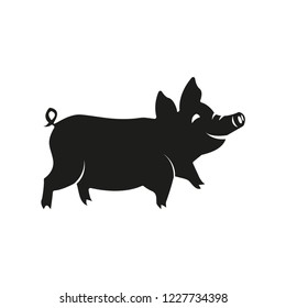 Chinese Zodiac Sign Year of Pig